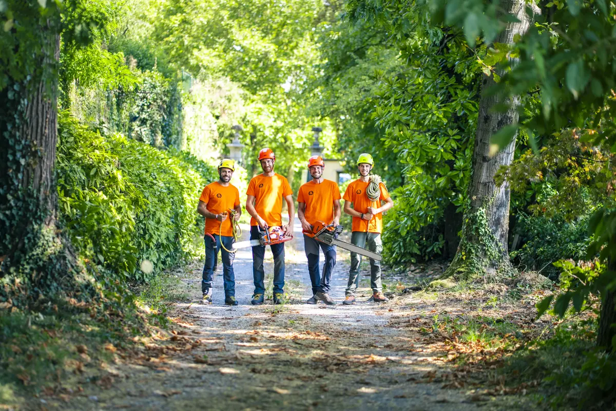 Como Alberi - Arboricoltori specializzati